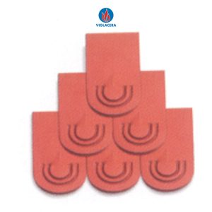 ngói mắt rồng